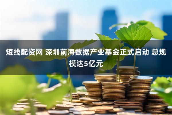 短线配资网 深圳前海数据产业基金正式启动 总规模达5亿元