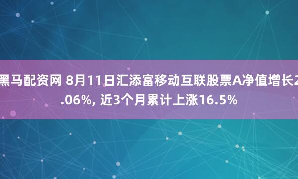 黑马配资网 8月11日汇添富移动互联股票A净值增长2.06%, 近3个月累计上涨16.5%